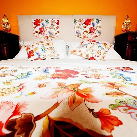 B&B Palazzo Toraldo Di Francia 트로페아